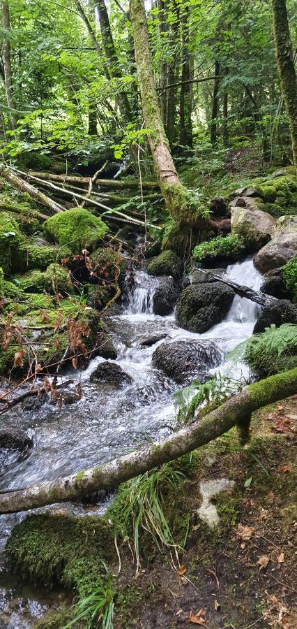 Black Forest Kuckucksnest Schönwalde Kültér fotó