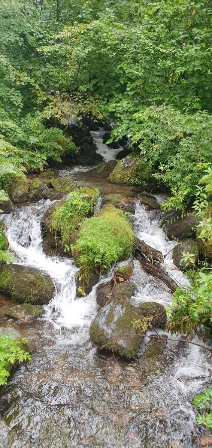 Black Forest Kuckucksnest Schönwalde Kültér fotó