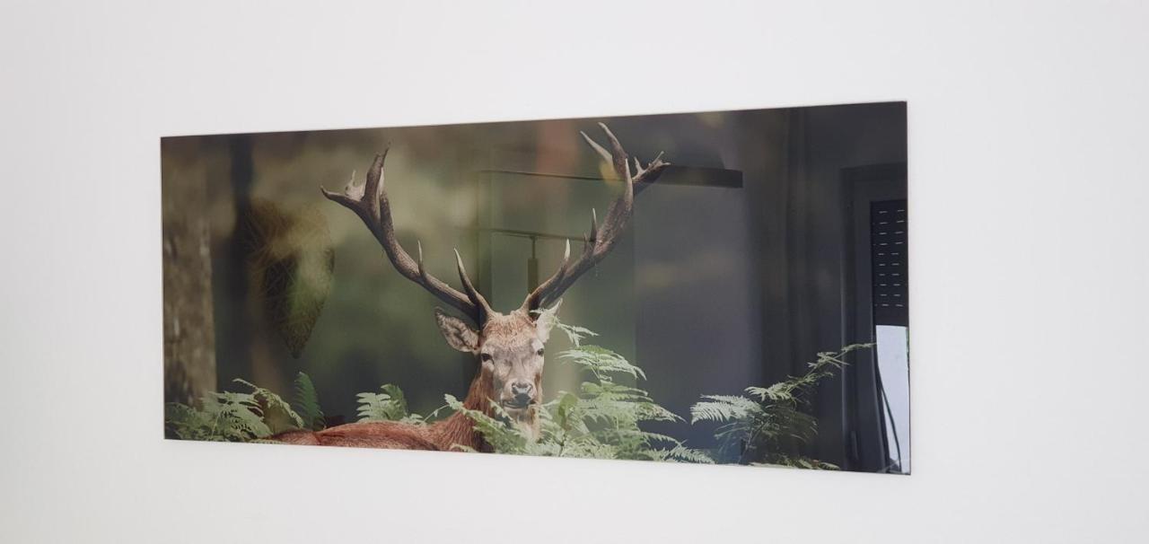 Black Forest Kuckucksnest Schönwalde Kültér fotó